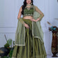 Rajwada Green Organza Embroidered Semi-Stitched lehenga For Women