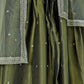 Rajwada Green Organza Embroidered Semi-Stitched lehenga For Women