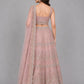 Light Pink Net Embellished Lehenga