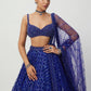 Rajwada Blue Net Embellished Semi Stitched Lehenga For Women