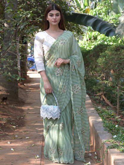 Rajwada Light Green Embroidered Simmar Saree with Unstitched Blouse for Women