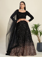 Rajwada - Black Sequins Lehenga