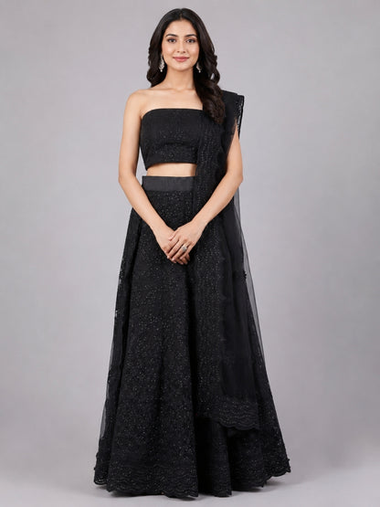 Black Net Embroidered Lehenga
