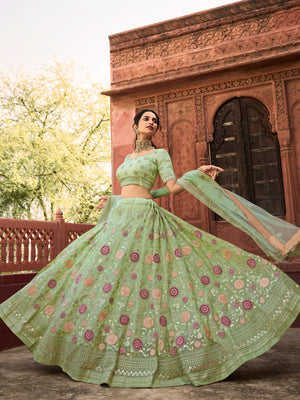 Rajwada Olive Embroidered Organza Semi Stitched Lehenga With Blouse For Women