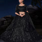 Rajwada Black Embellished Soft Net Semi Stitched Lehenga With Blouse For Women