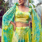 Rajwada - Multi Color Stitched Lehenga