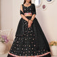 Rajwada Black Net Embellished Semi Stitched Lehenga With Unstitched Blouse for Women