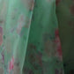 Rajwada Light Green Organza Printed Saree With Unstitched Blouse For Women