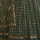 Rajwada Green Georgette Embellished Semi-Stitched lehenga For Women