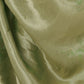 Rajwada Light Green Viscose Silk Embroidered Saree For Women