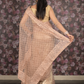 Rajwada Beige Thread Embroidered Net Saree with Unstitched Blouse for Women