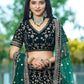 Rajwada Green Velvet Embroidered Semi-Stitched Lehenga For Women