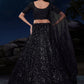 Rajwada Black Embellished Soft Net Semi Stitched Lehenga With Blouse For Women