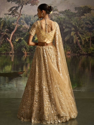 Rajwada Beige Net Embellished Semi-Stitched Lehenga For Women