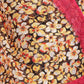 Rajwada Multicolor Silk Blend Printed Saree For Women