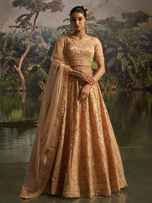Rajwada Golden Beige Net Embellished Semi-Stitched Lehenga For Women