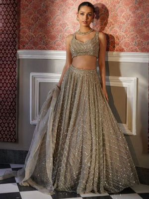 Rajwada Grey Organza Embellished Semi Stitched Lehenga For Women