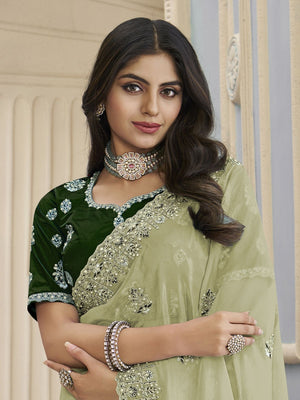 Rajwada Light Green Organza Embroidered Elegant Saree For Women