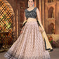 Rajwada Beige Georgette Embroidered Semi Stitched Lehenga For Women