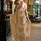 Rajwada Beige Chiffon Embellished Saree For Women