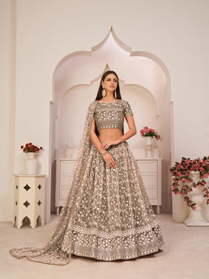 Rajwada Dark Beige Net Embroidered Semi Stitched Lehenga For Women