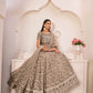 Rajwada Dark Beige Net Embroidered Semi Stitched Lehenga For Women