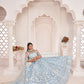 Rajwada Sky Blue Net Embroidered Semi Stitched Lehenga For Women