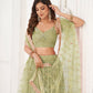 Rajwada Pista Net Embroidered Semi Stitched Lehenga For Women