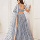 Rajwada Grey Net Embroidered Semi Stitched Lehenga For Women