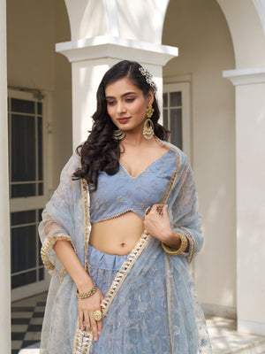 Rajwada Pastel Blue Net Embroidered Semi Stitched Lehenga For Women