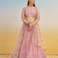 Rajwada Light Pink Net Embroidered Semi Stitched Lehenga For Women