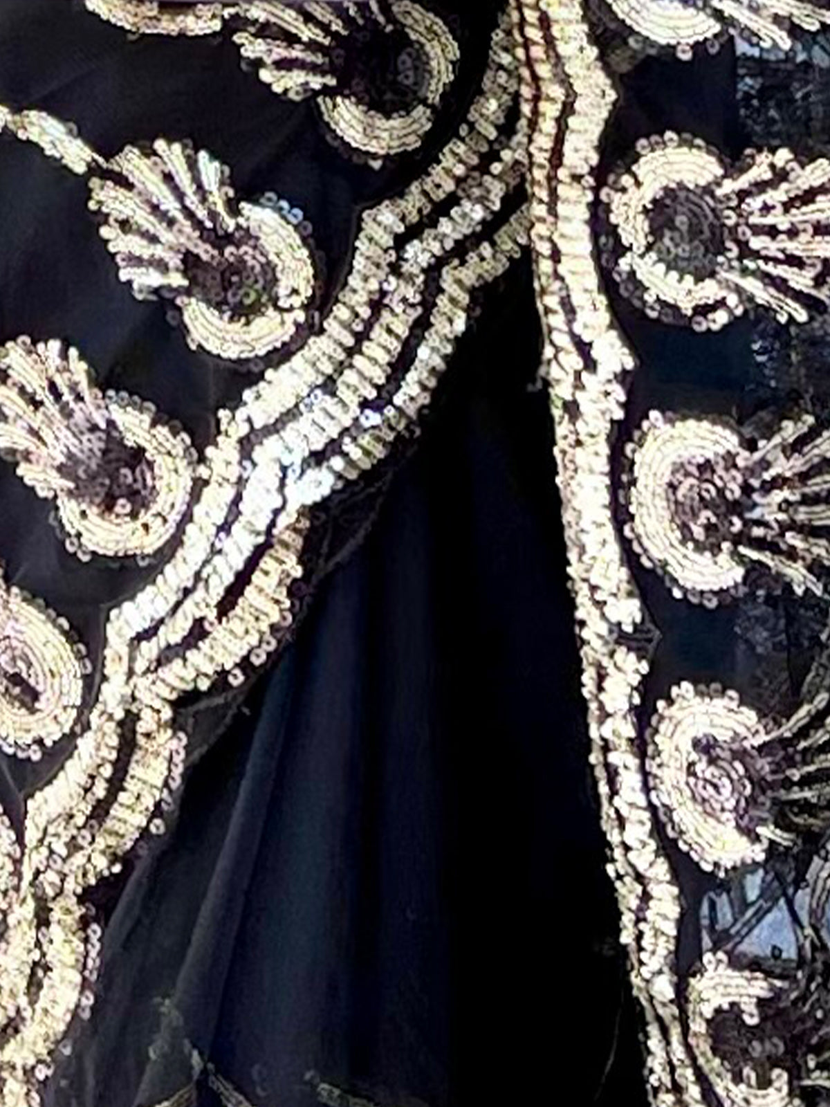 Rajwada - Black Net Sequins Saree with Stitched Blouse