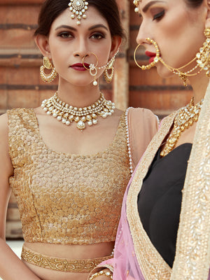Rajwada Women Designer Georgette Semi Stitched Lehenga Choli