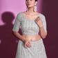 Rajwada Women White Net Embroidered Semi Stitched Lehenga With Unstitched Blouse