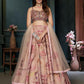 Rajwada Multicolor Organza Printed Stitched Lehenga With Blouse For Women