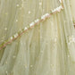 Rajwada Pista Green Net Embellished Semi-Stitched Lehenga For Women