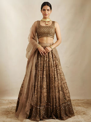 Rajwada Brown Net Embroidered Semi-Stitched Lehenga For Women