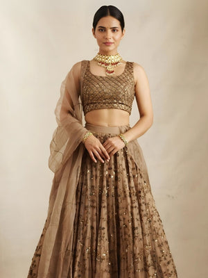Rajwada Brown Net Embroidered Semi-Stitched Lehenga For Women