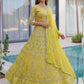 Rajwada Yellow Net Embellished Lehenga For Women