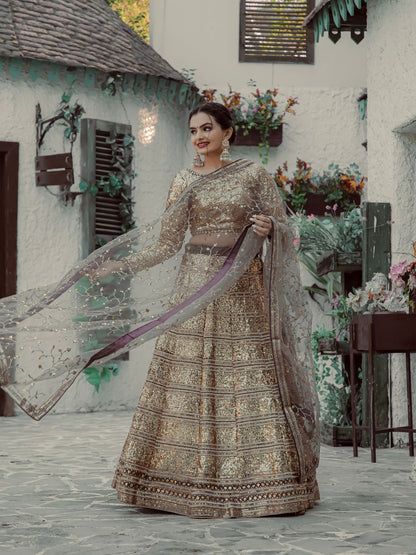 Rajwada Gold & Grey Georgette Semi Stitched Lehenga with unstitched Blouse for Women