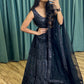 Rajwada Women's Black Net Semi Stitched Lehenga with Unstitched Blouse