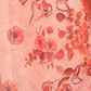 Rajwada Peach Cotton Printed Saree For Women