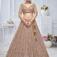 Rajwada Light Brown Soft Net Embroidered Semi-Stitched Lehenga With Unstitched Blouse For Women