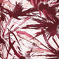 Rajwada Off White And Maroon Cotton Blend Printed Kurta Set For Women