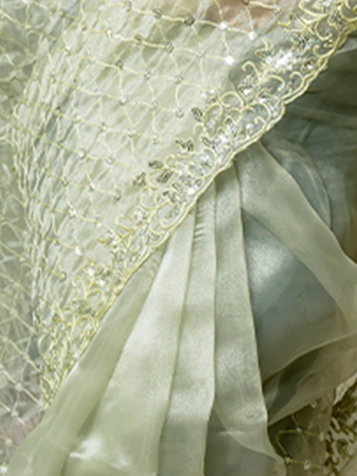 Rajwada - Green Organza Embellished Saree with Stitched Blouse