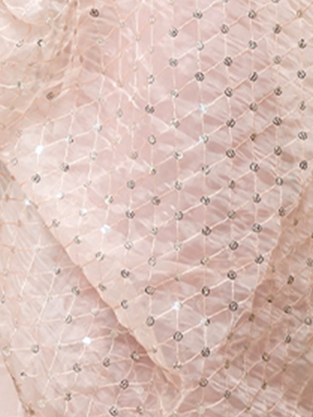 Rajwada - Peach Organza Embellished Saree with Stitched Blouse