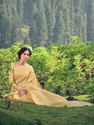 Rajwada Beige Linen Tissue Saree for Women With Unstitched Blouse