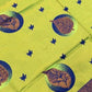 Rajwada Light Green Silk Printed Saree For Women