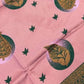Rajwada Light Pink Silk Printed Saree For Women