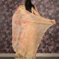 Rajwada Off White Printed Organza Saree